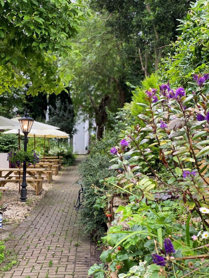 Woodfield Bed and Breakfast Chepstow Buitenkant foto