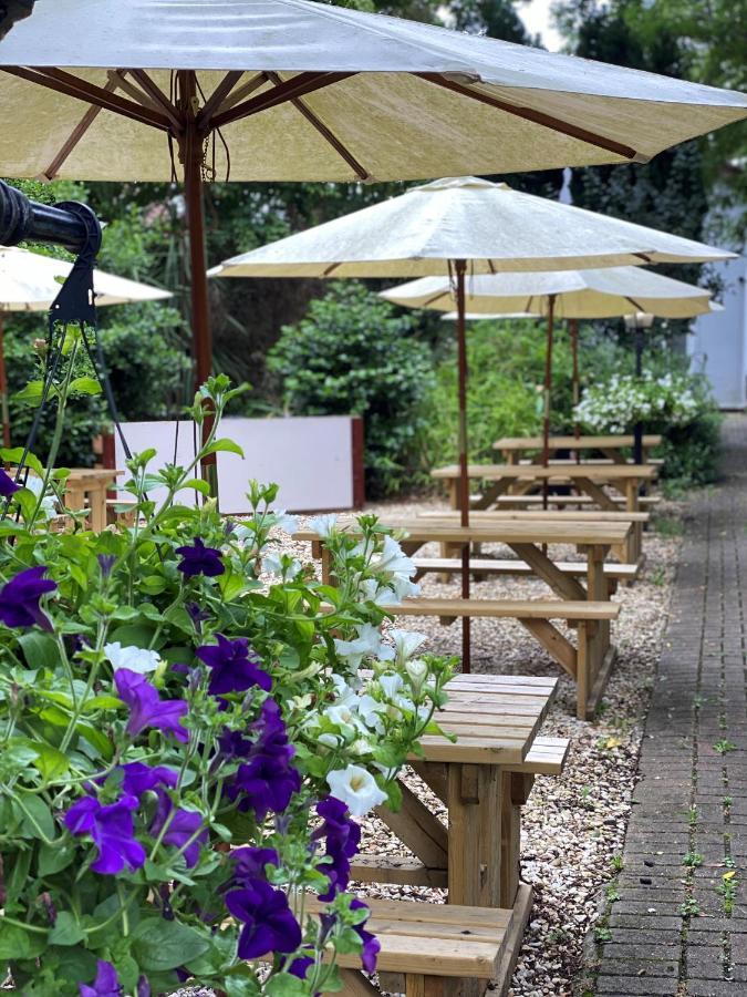 Woodfield Bed and Breakfast Chepstow Buitenkant foto